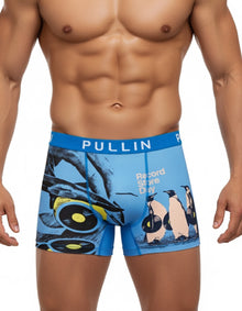  PULLIN - Boxer Fashion 2 RECORD