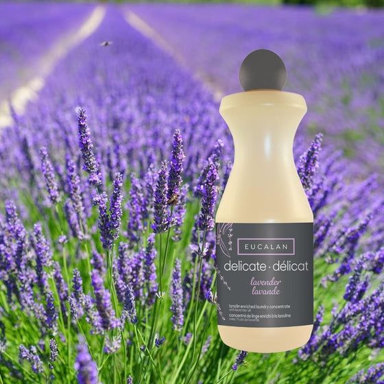 Eucalan - Détergent naturel Lavande 500 ml - LE CAPITAINE D'A BORD